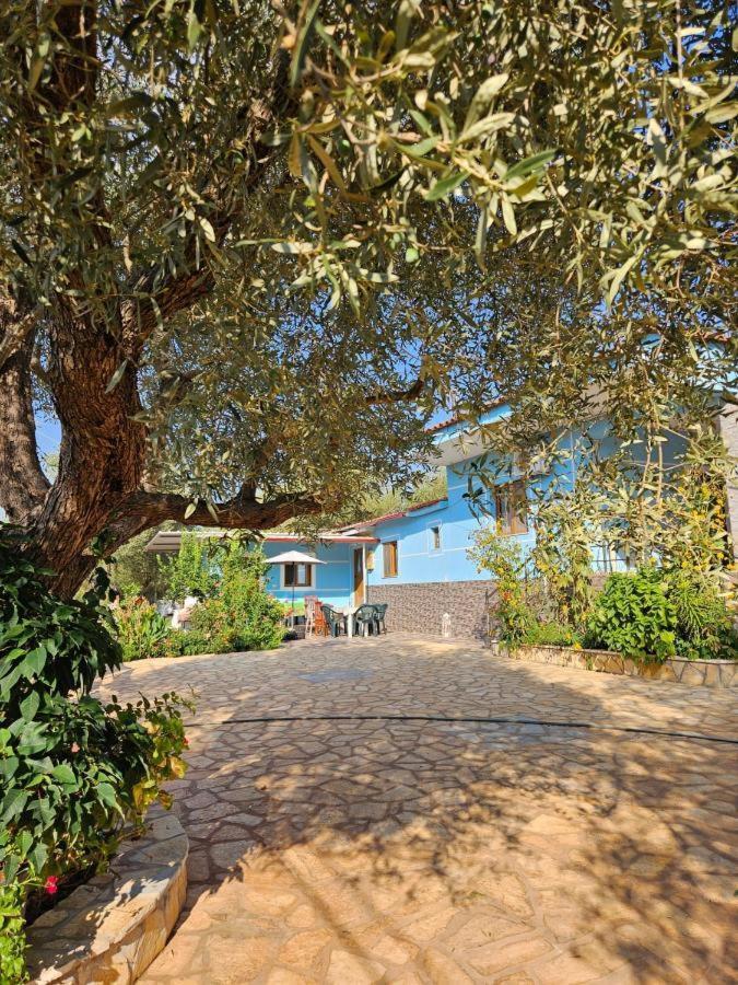 Oni Apartments Ksamil Dış mekan fotoğraf